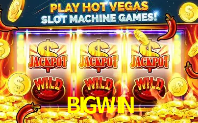 BIGWIN Segurança Logo 1