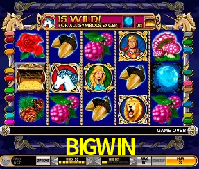 Programa VIP BIGWIN