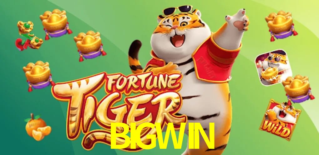 Infraestrutura BIGWIN
